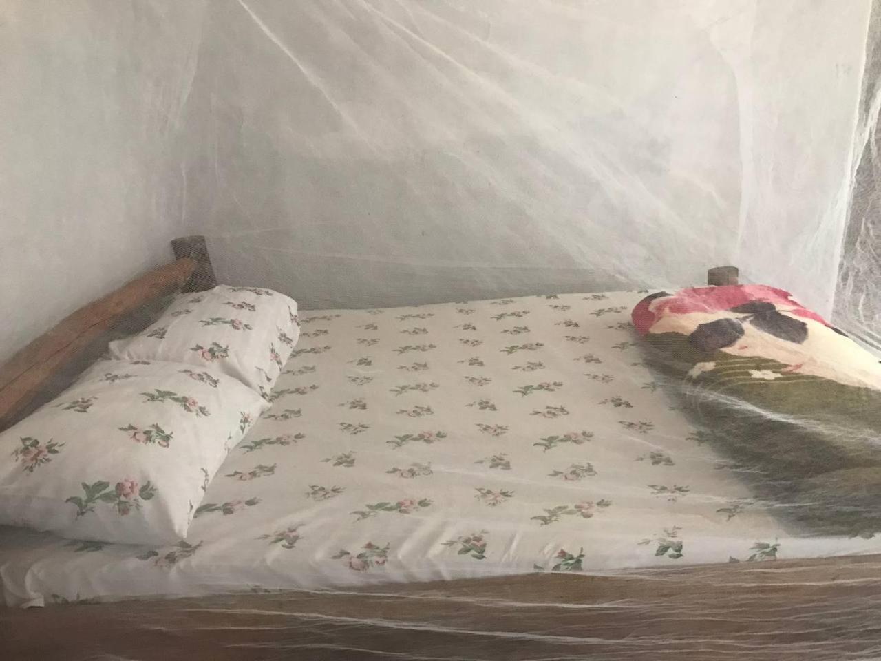 Sipi Backpackers Apartamento Kapchorwa Quarto foto